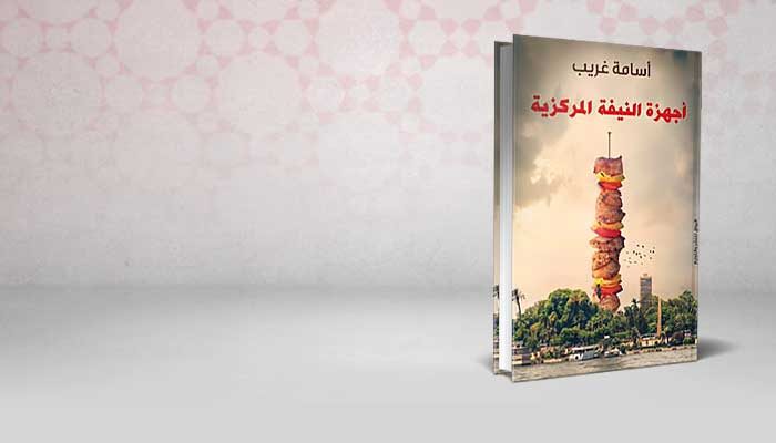 أجهزة النيفة المركزية