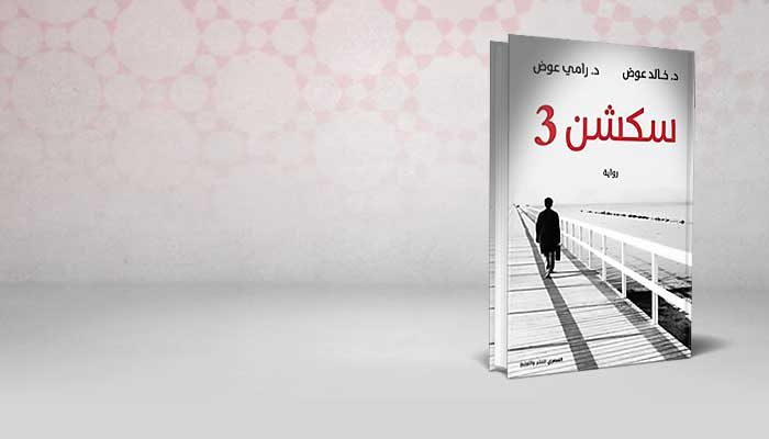 سكشن 3