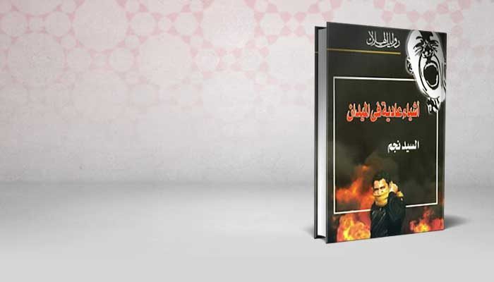 أشياء عادية في الميدان